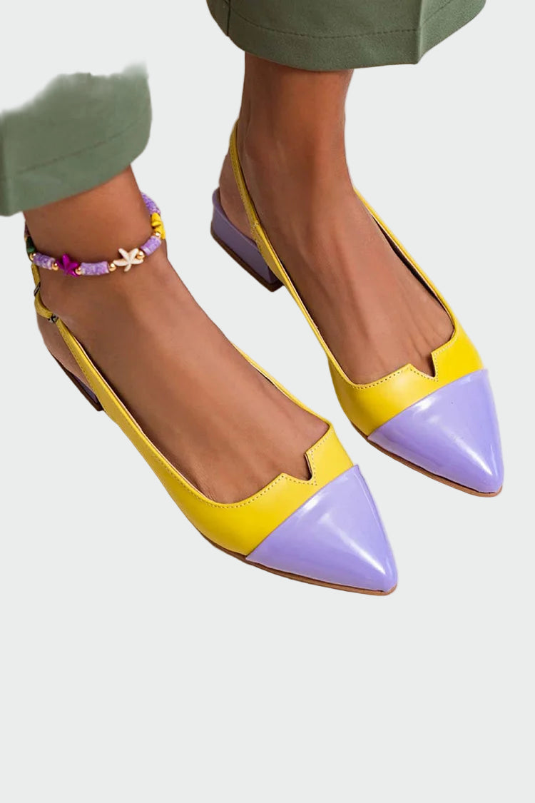 Pointed Toe Ballerinas with Two-Tone Detail