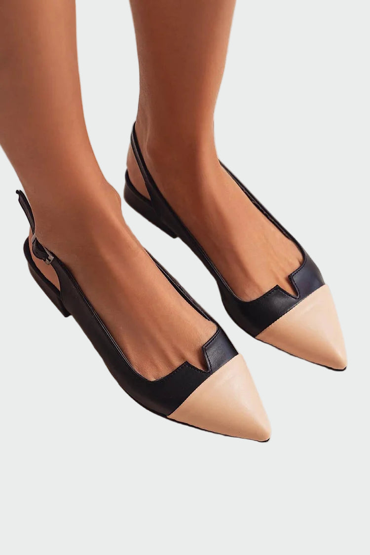 Pointed Toe Ballerinas with Two-Tone Detail