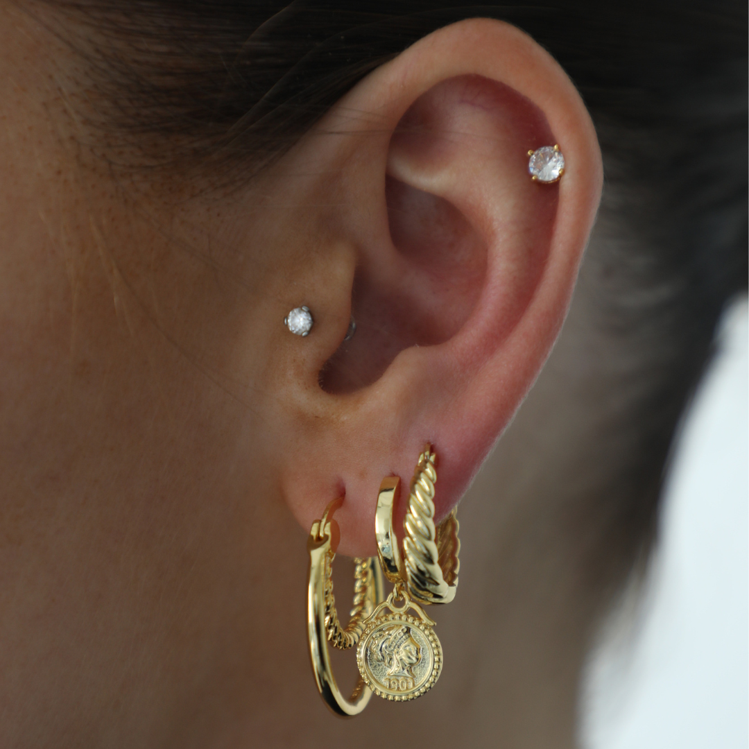 Twisted Style Earrings